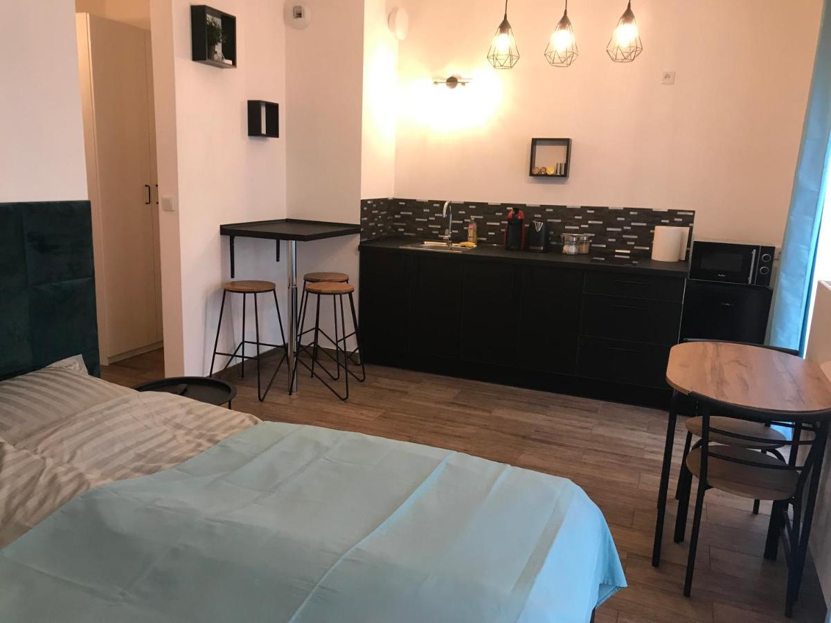 Steam Park Rakowicka Koper Apartment Cracovie Extérieur photo